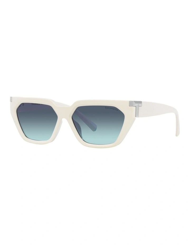 TF4205U Sunglasses in White