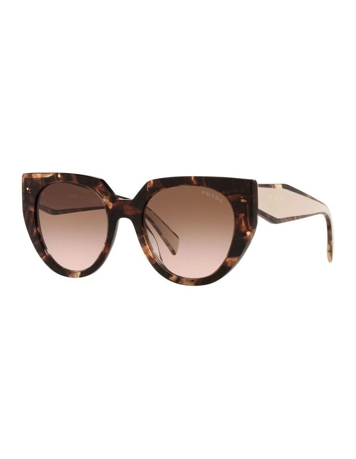 PR14WS Sunglasses in Tortoise