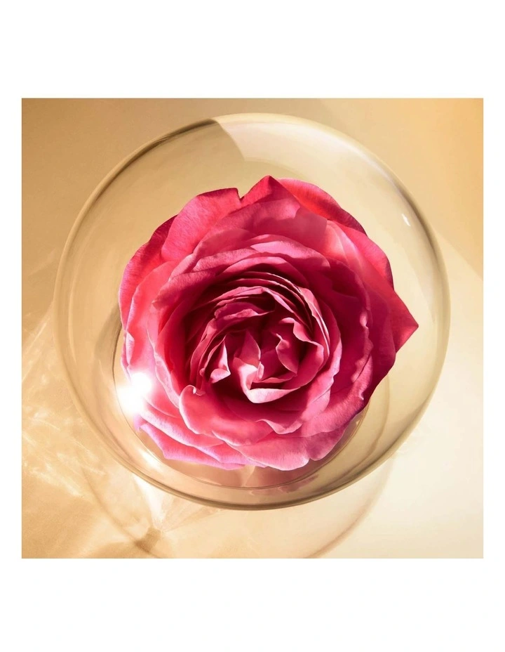 Absolue Precious Cells 75ml Night Mask