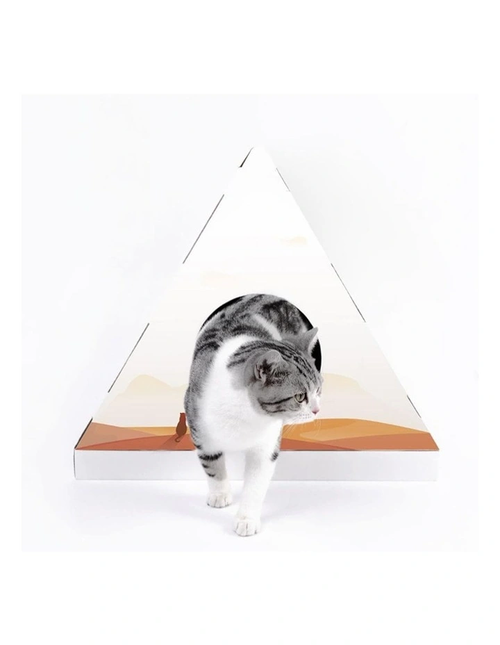 Cardboard Cat Scratcher Pyramid House in Multi