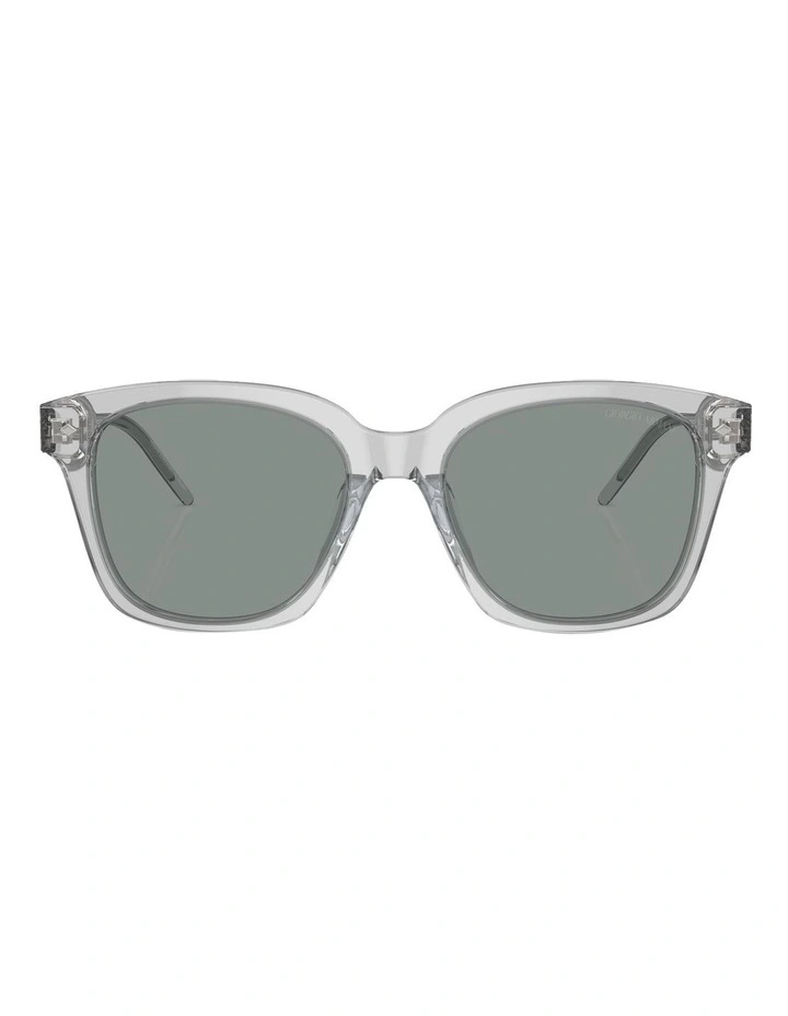 AR8210U Sunglasses in Grey