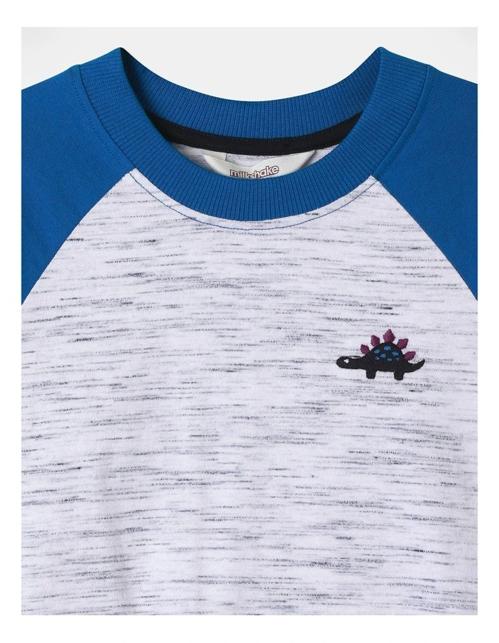 Long Sleeve Space Dye Raglan Tee in Blue