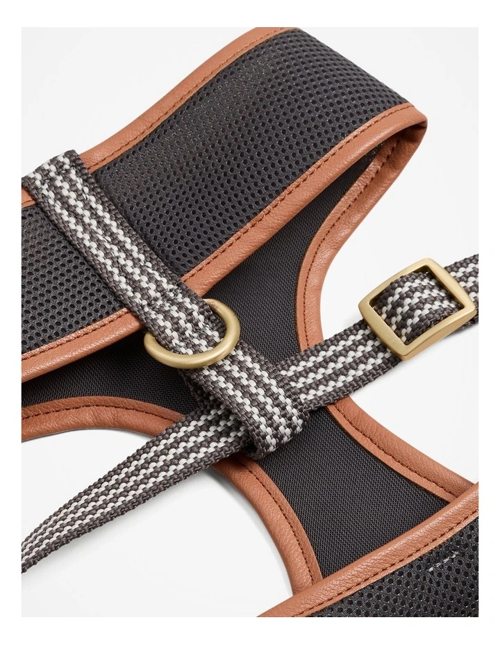 Alfie Pet Harness in Lake Grey