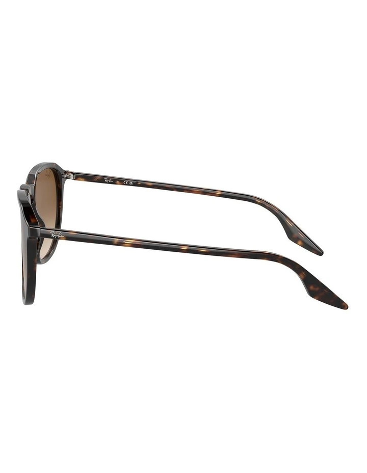 Polarised RB2204 Sunglasses in Black