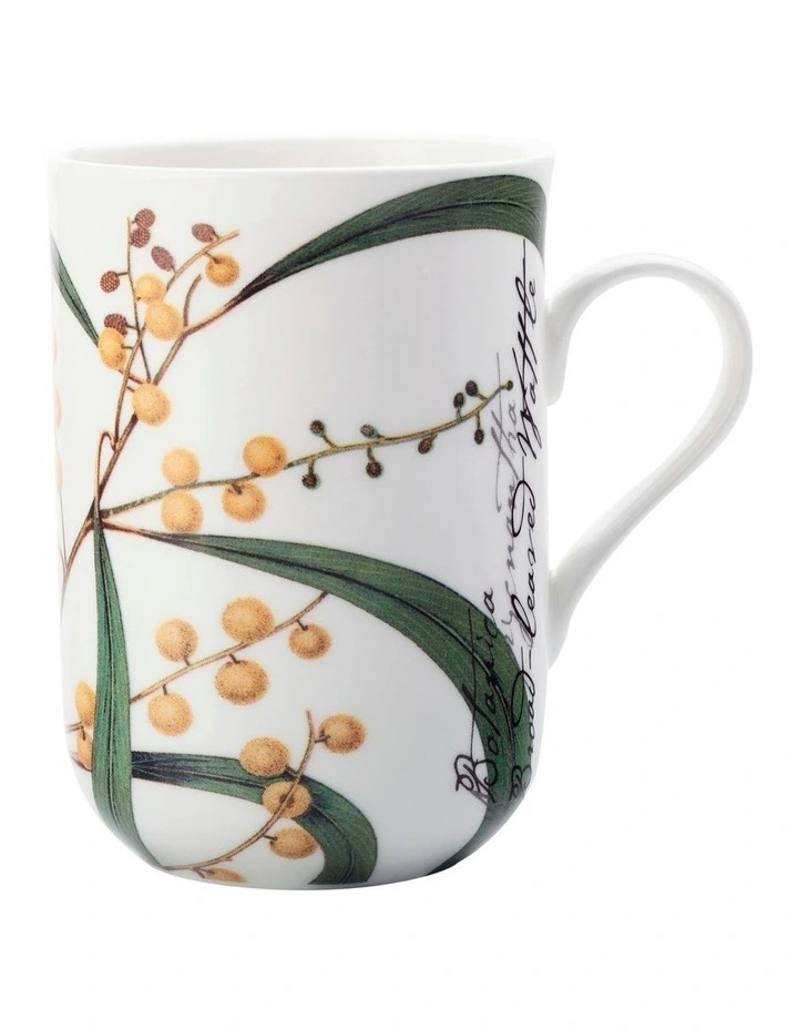 Royal Botanic Garden Wattle Mug Gift Boxed 300ml in Mixed Colour
