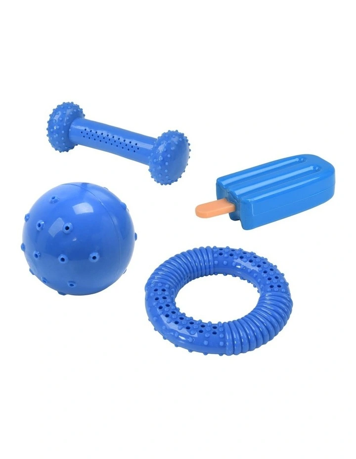 Thirst-Quencher Summer Pet Toys 4 Piece Set in Blue