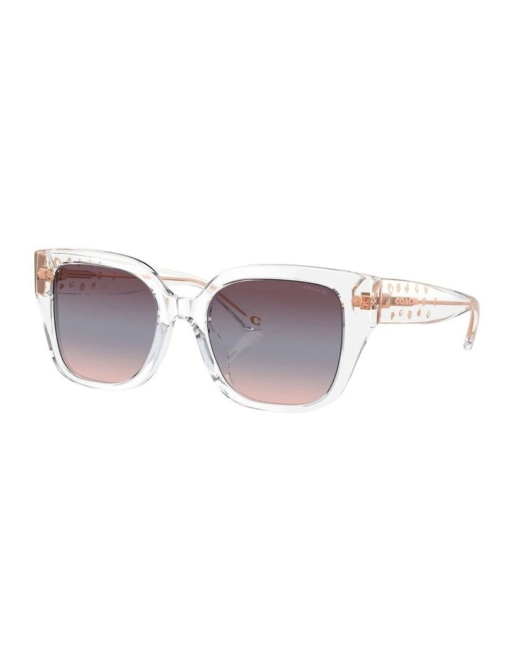 CR611 Sunglasses in Transparent