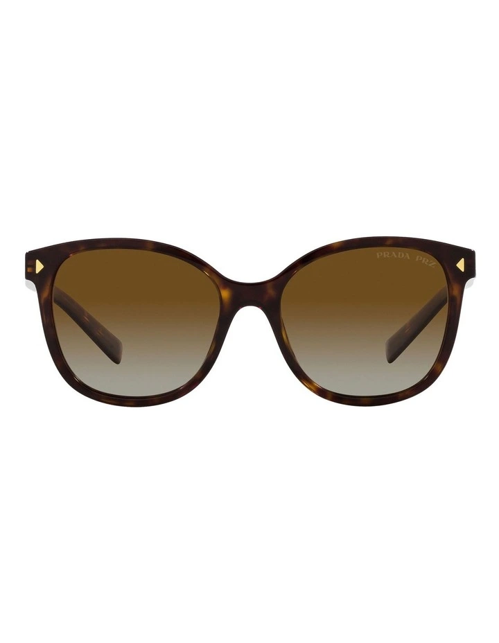 PR 22ZS Tortoise Polarised Sunglasses in Brown