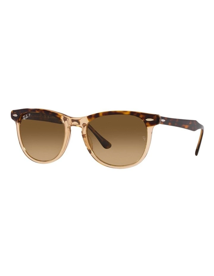 Eagle Eye Polarised Sunglasses in Gold