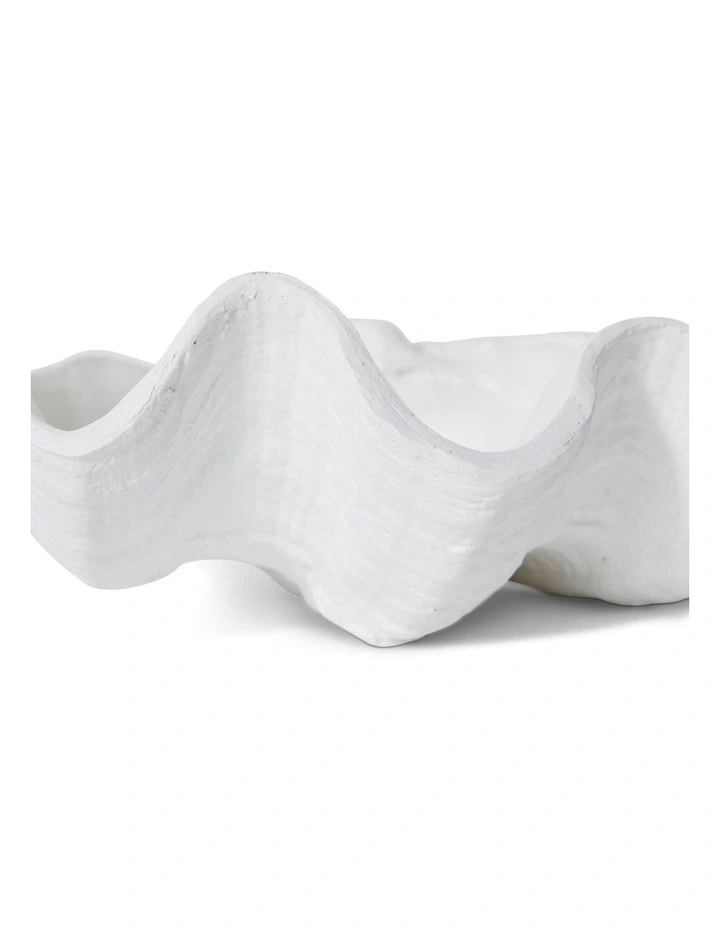 Clam Shell Sculpture in White