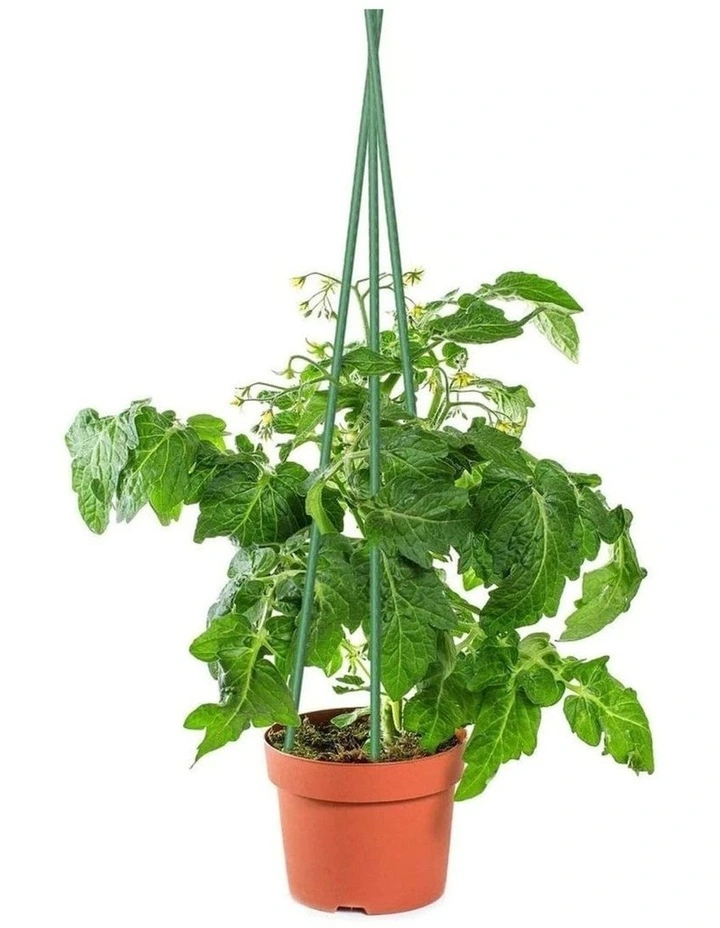 Metal Plant Support Stakes with Rust Protection 24 Pieces 120cm in Green