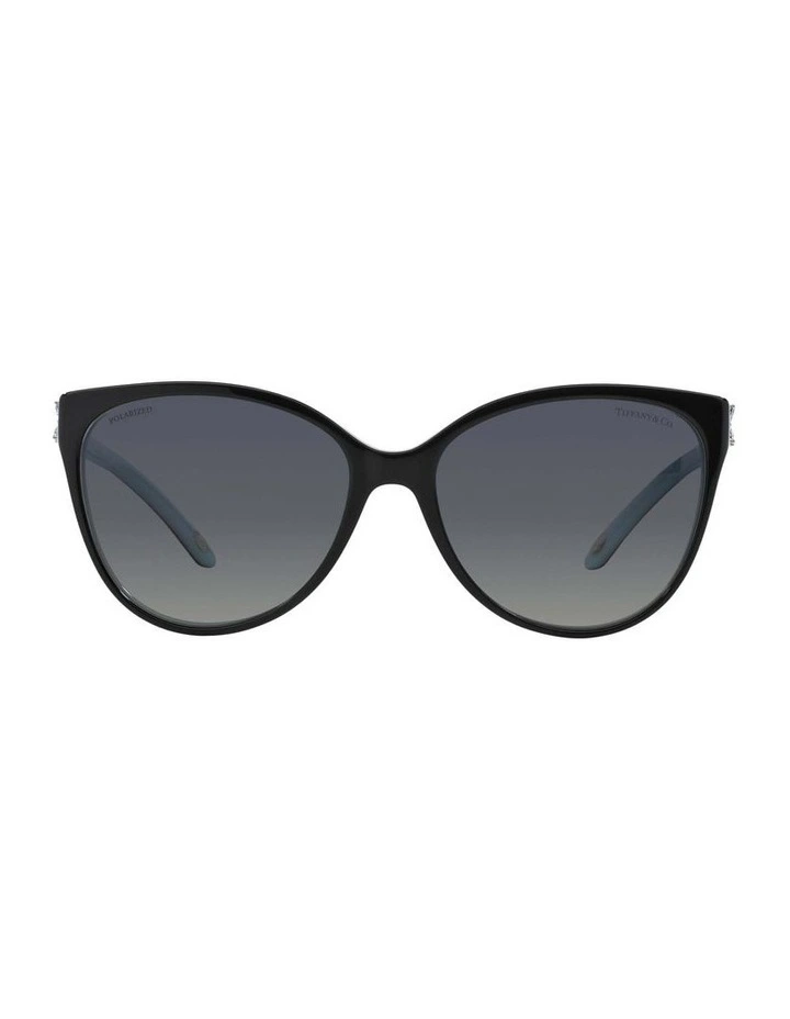 TF4089B Black Polarised Sunglasses