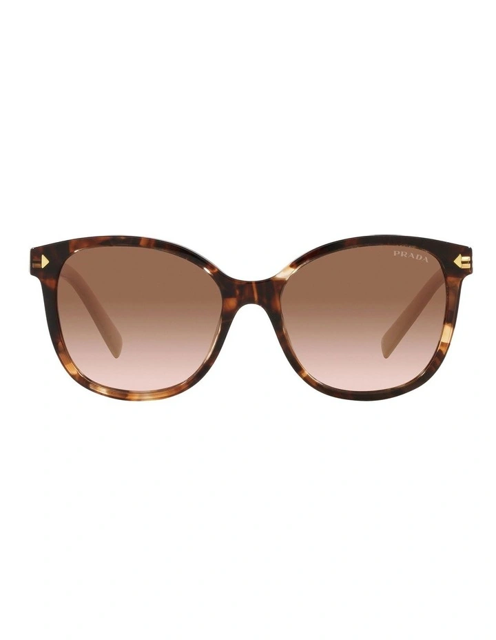 PR22ZSF Sunglasses in Tortoise