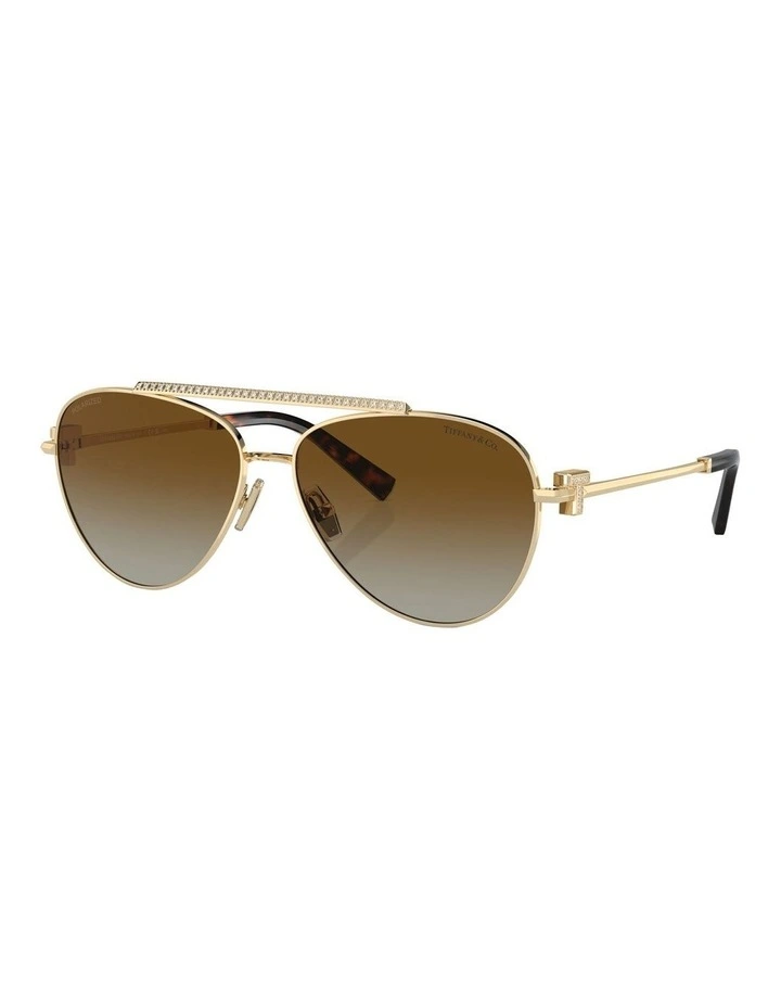 TF3101B Polarised Sunglasses in Gold