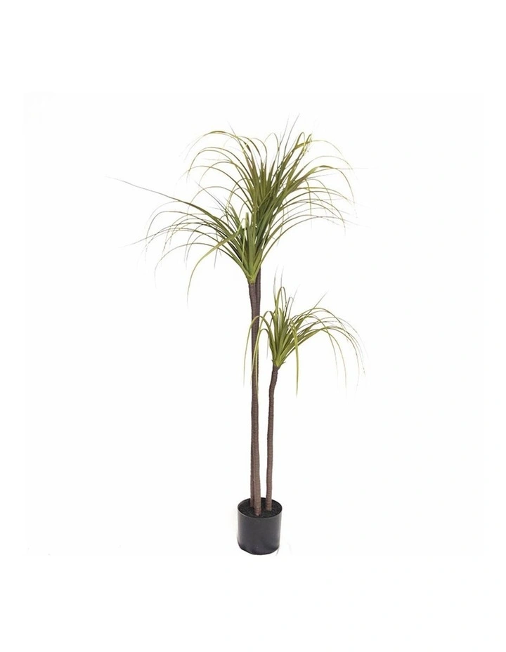 Potted Dragon Blood Artificial Plant 145cm in Assorted