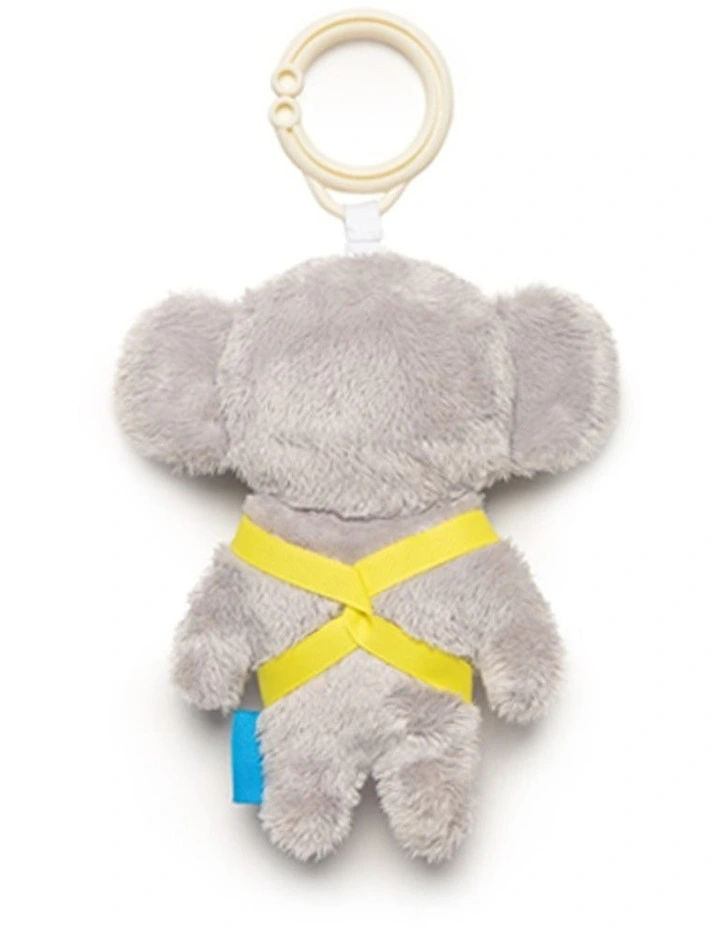Kimmy the Koala