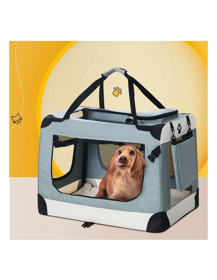 Large Portable Pet Carrier in Blue