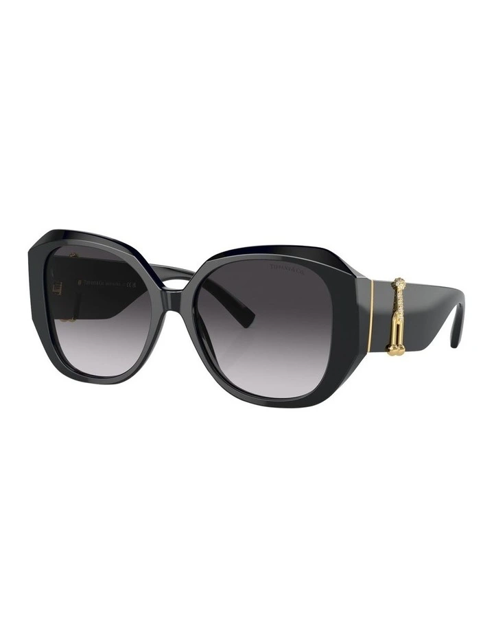 TF4207B Sunglasses in Black