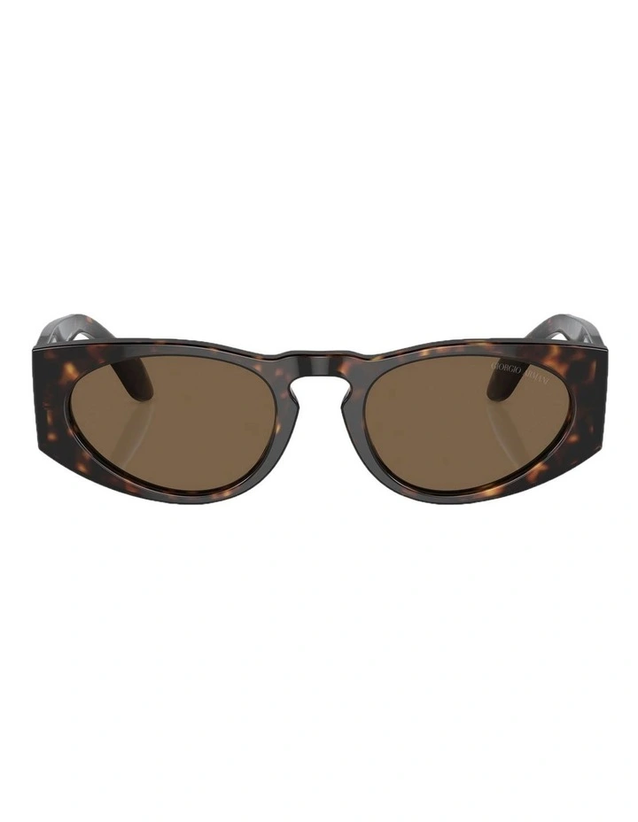 AR8216 Sunglasses in Tortoise