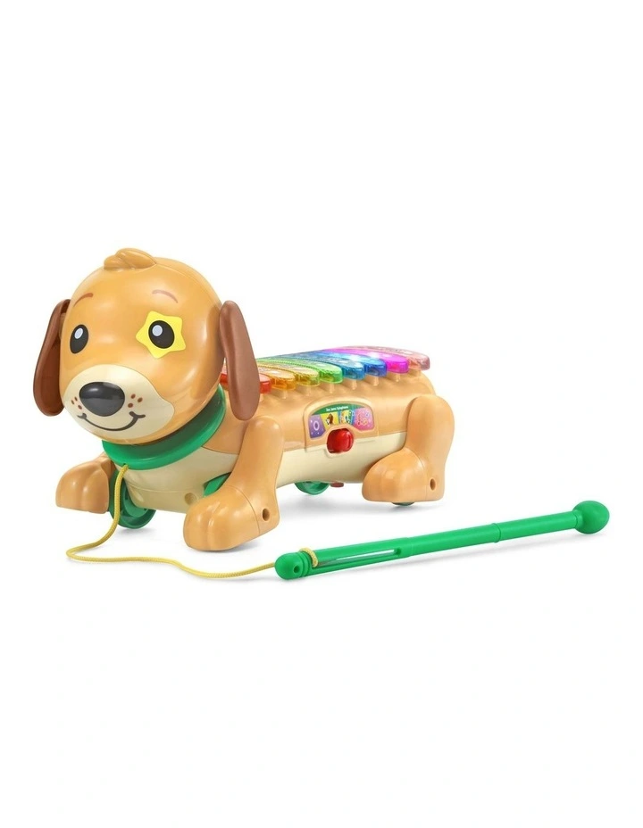 ZooJamz Doggy Xylophone in Multi