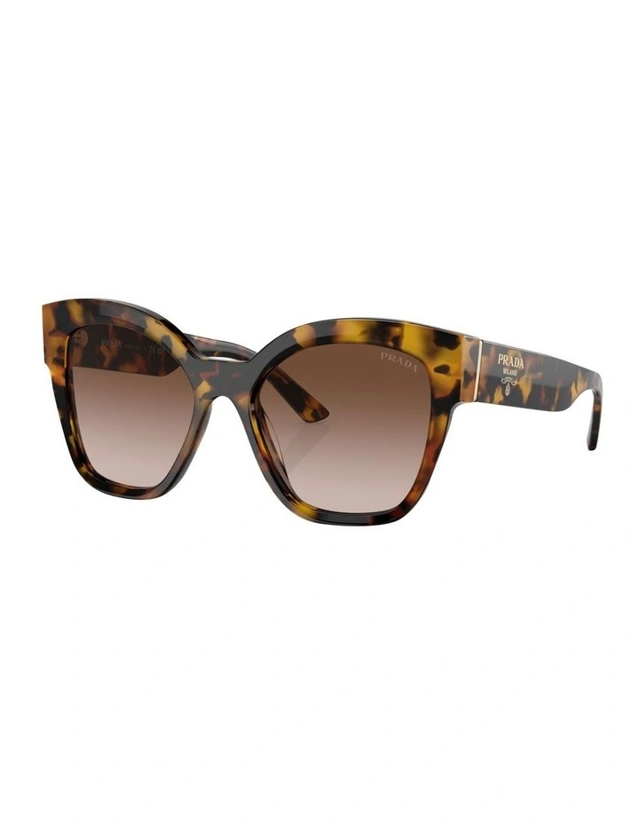 PR 17ZS Sunglasses in Tortoise