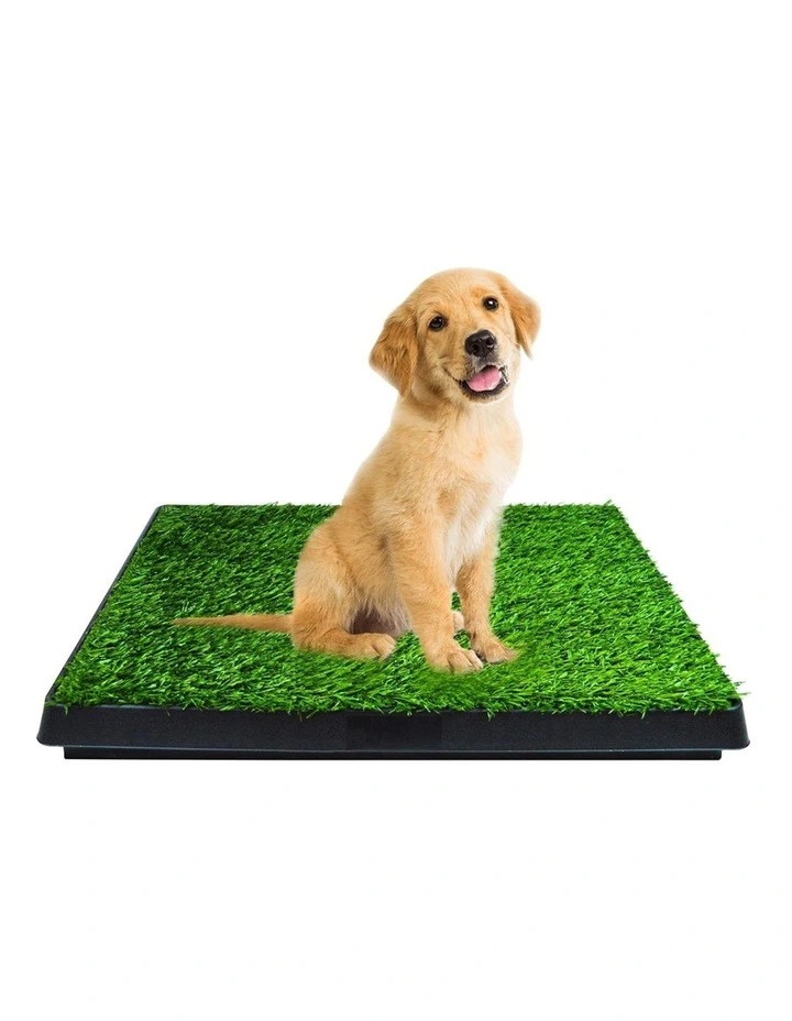 Pet Grass Training Potty 63x50cm