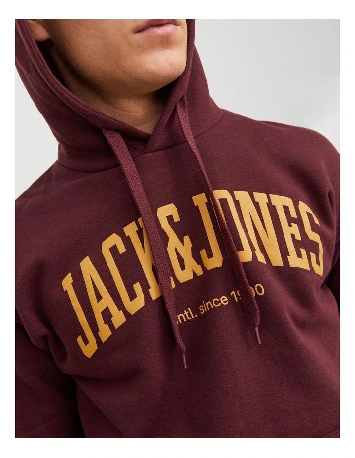 Josh Hooded Sweatshirt in Red