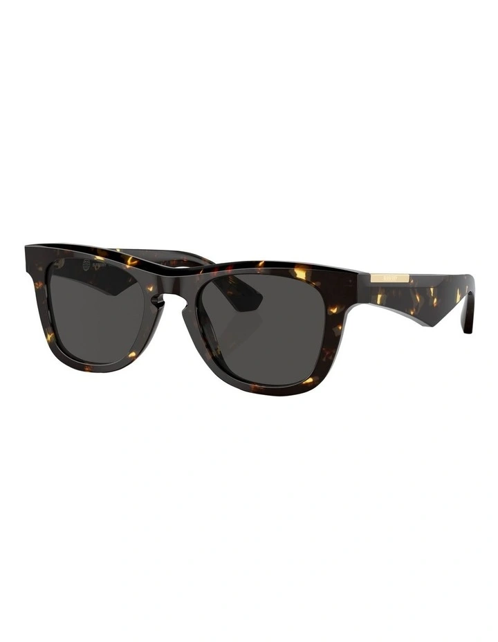 BE4426 Sunglasses in Brown
