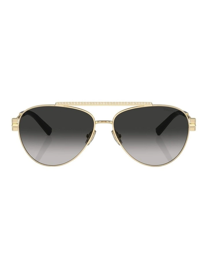 TF3101B Sunglasses in Gold