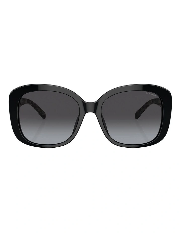 CH564 Sunglasses in Black