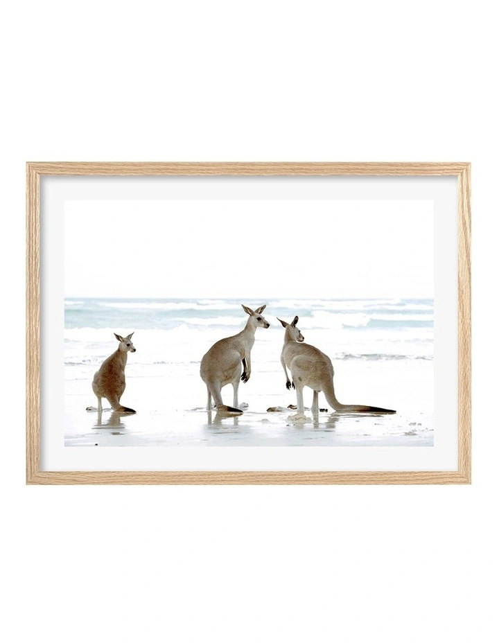 Australian Made Kangaroo Beach Art Print A2 in Natural Frame