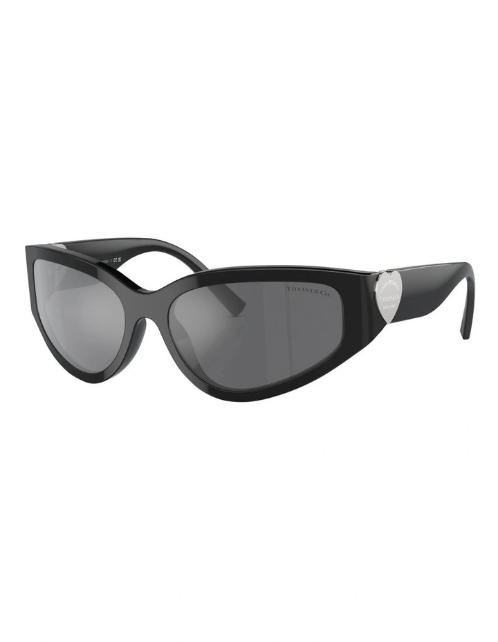 TF4217 Sunglasses in Black
