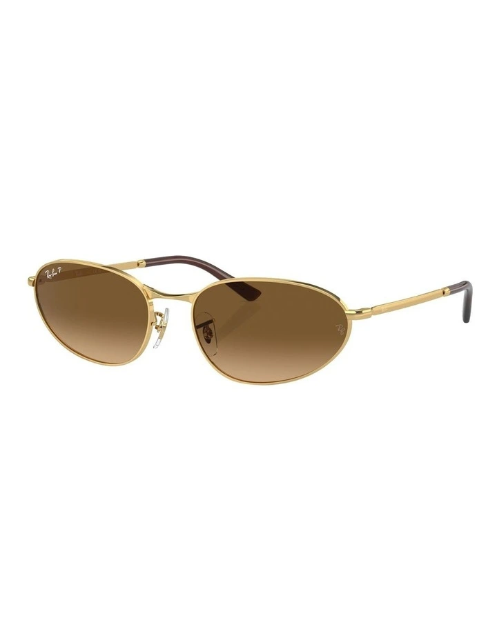 RB3734 Polarised Sunglasses in Gold