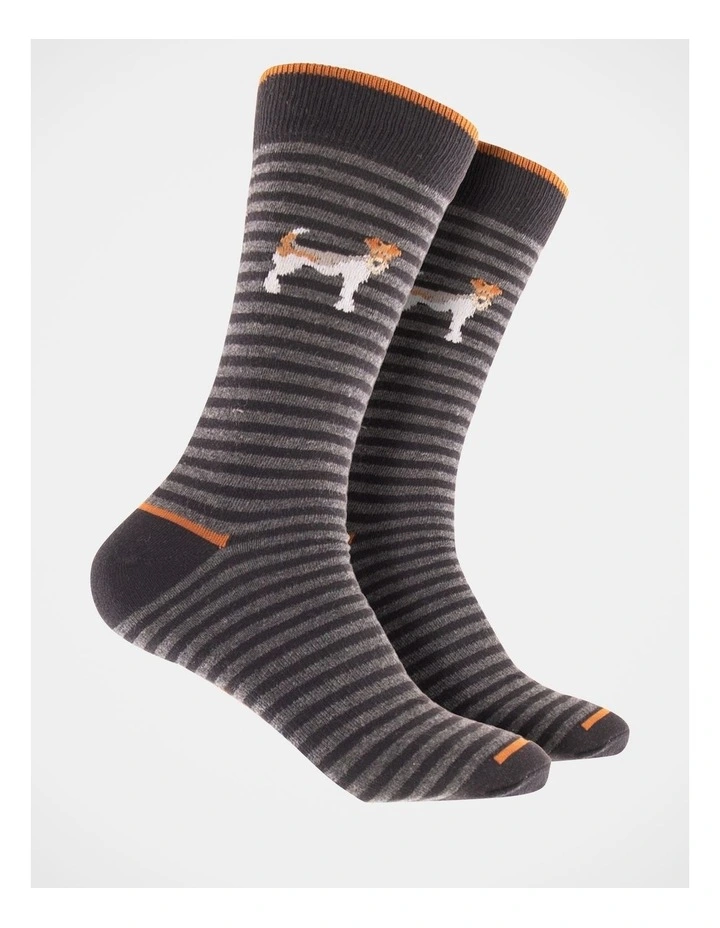 Men's Animal Stripe Cotton Socks 3 Pack in Assorted
