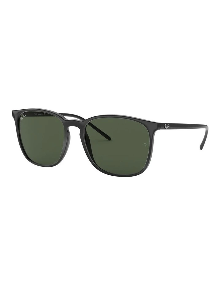 RB4387 Black Sunglasses