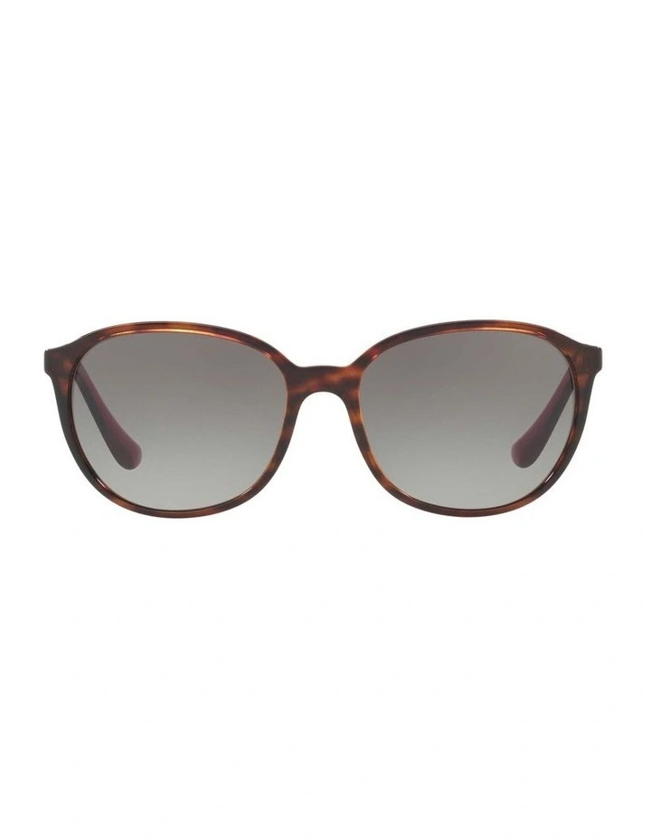 HU2003 Brown Sunglasses