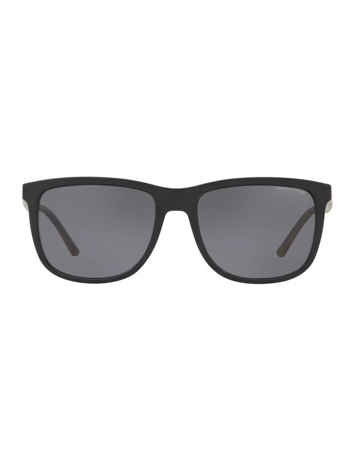 AX4070S Black Polarised Sunglasses