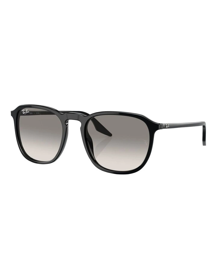 RB2203 Sunglasses in Black