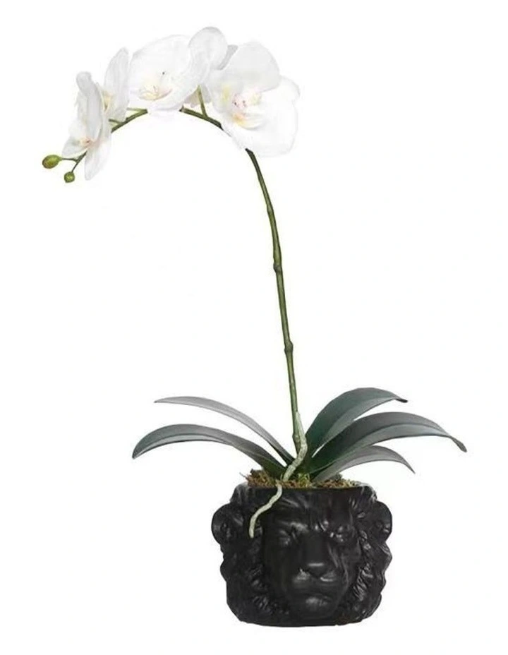 Exclusive Design Real Touch Artificial Orchid Arrangement In Black Lion Head Pot