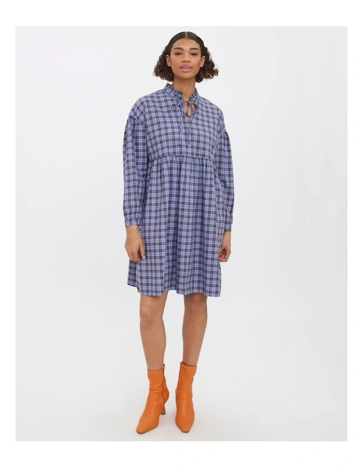 Frany Long Sleeve Mini Dress in Blue