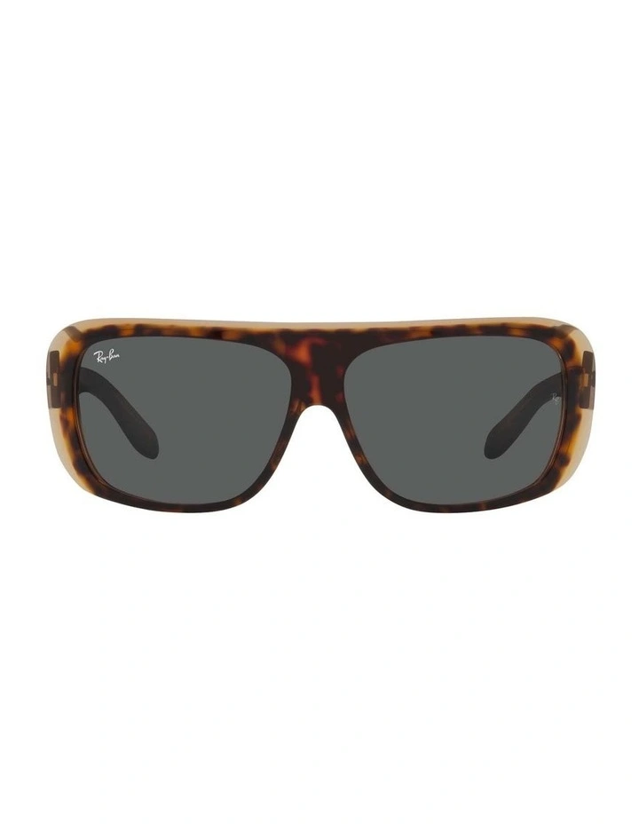 Blair Brown RB2196 Sunglasses