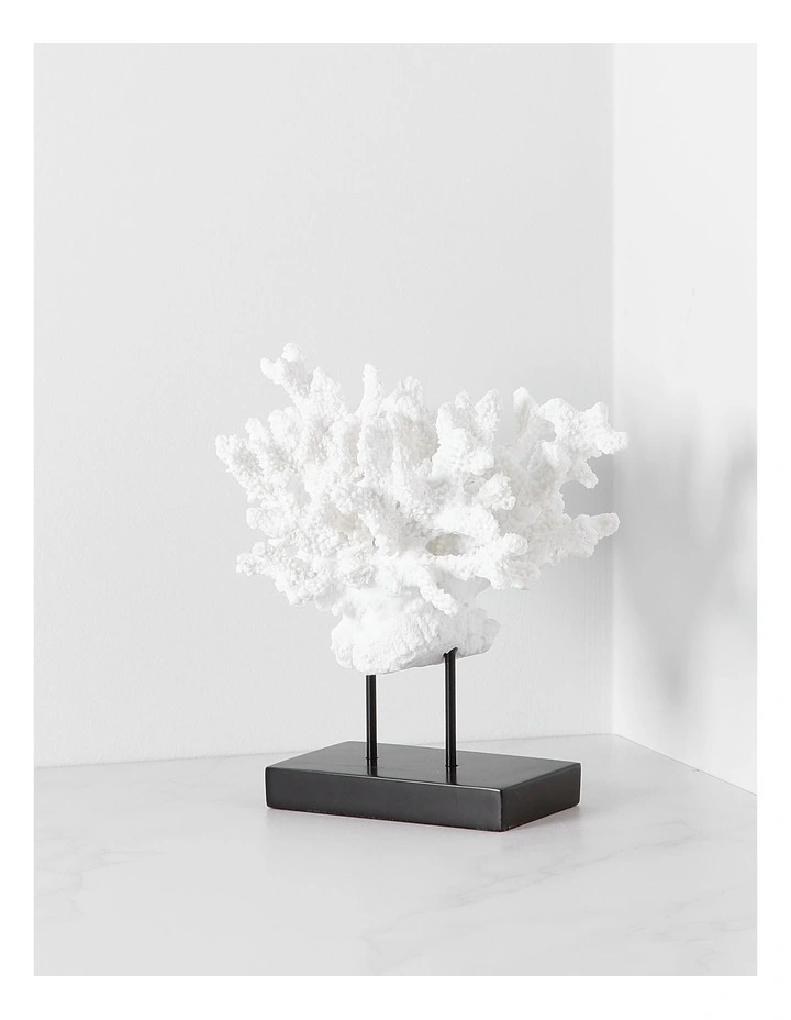 Atolle Coral Sculpture Small 21cm in White