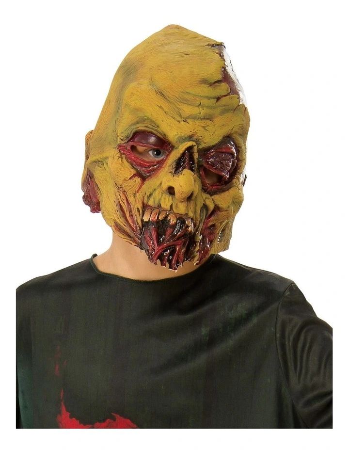 Zombie Avenger Costume