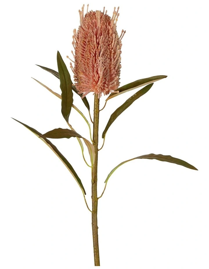 Dried Look Banksia Stem 56cm in Dusty Pink