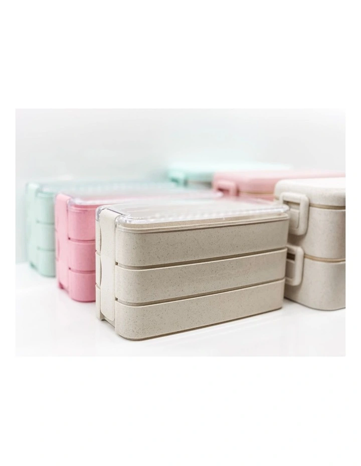 6 Pack Bento Boxes 3 Large 2 Tiered 3 Smaller 3 Tiered