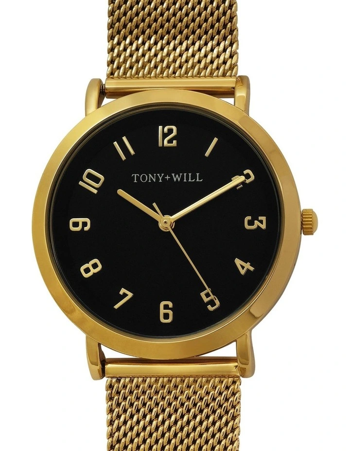 Small Astral Mesh Watch in Gold