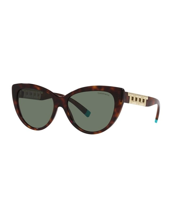 0TF4196 Sunglasses in Havana