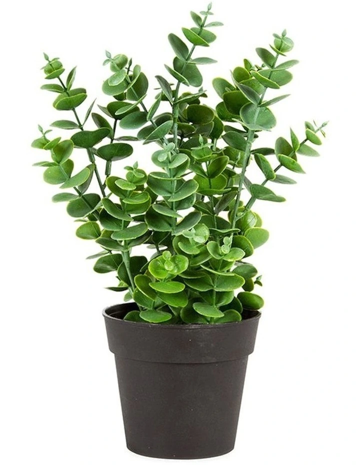 Artificial Eucalyptus Plant Pot in Green