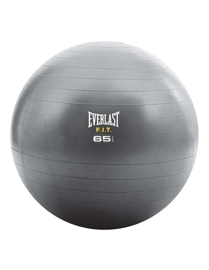 Core Strength Ball 65Cm Grey