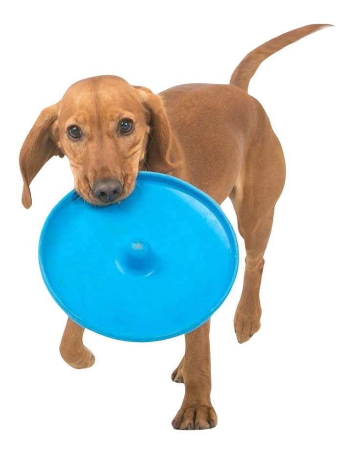 Sturdy Flying Disc for Dogs in Assorted Colours
